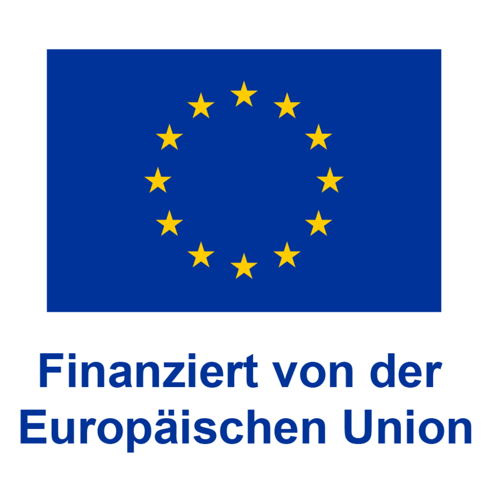 Finanziert von der Europäischen Union