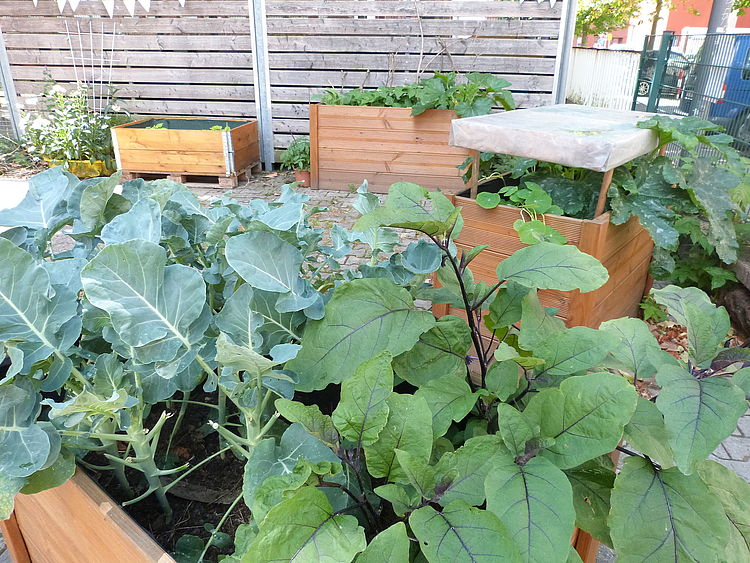 Hochbeet im Gemeinschaftsgarten